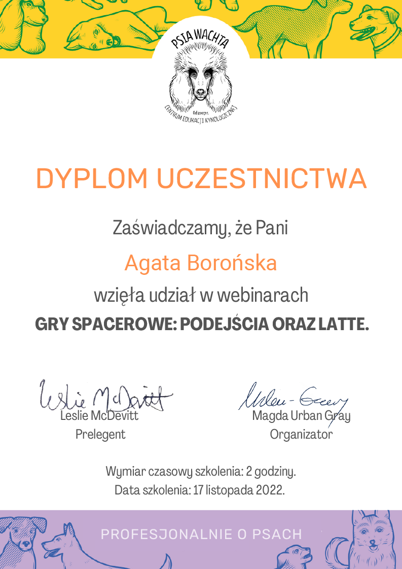 Dyplom gry spacerowe-148